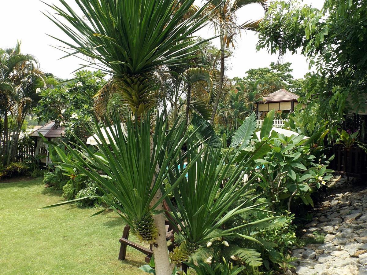 Homestay Chiangrai Csiangraj Kültér fotó